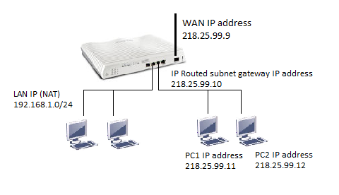 public ip address router