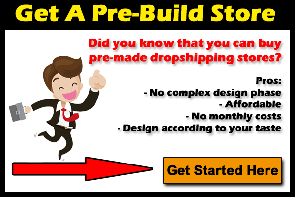 buy a pre build dropshipping store and start making money from day one