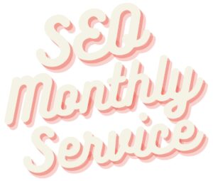 we want to provide you with a affordable monthly seo service